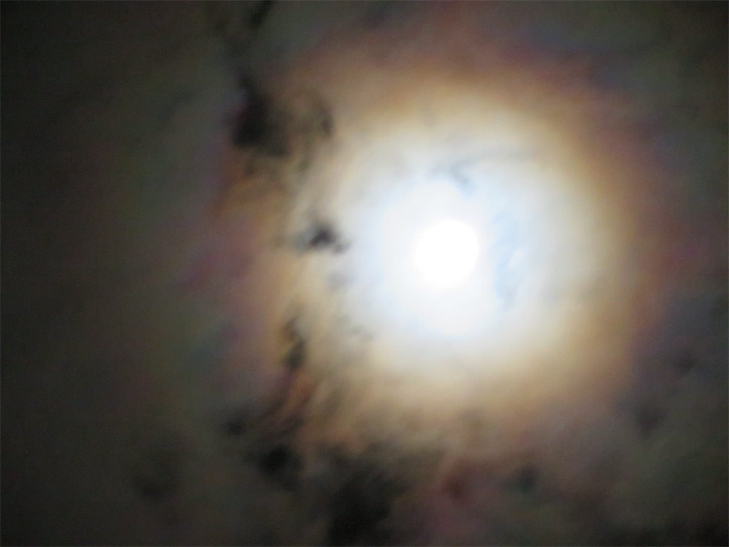 f:id:AdonaiQuoVadis:20210922163533j:image f:id:AdonaiQuoVadis:20210922163533j:image