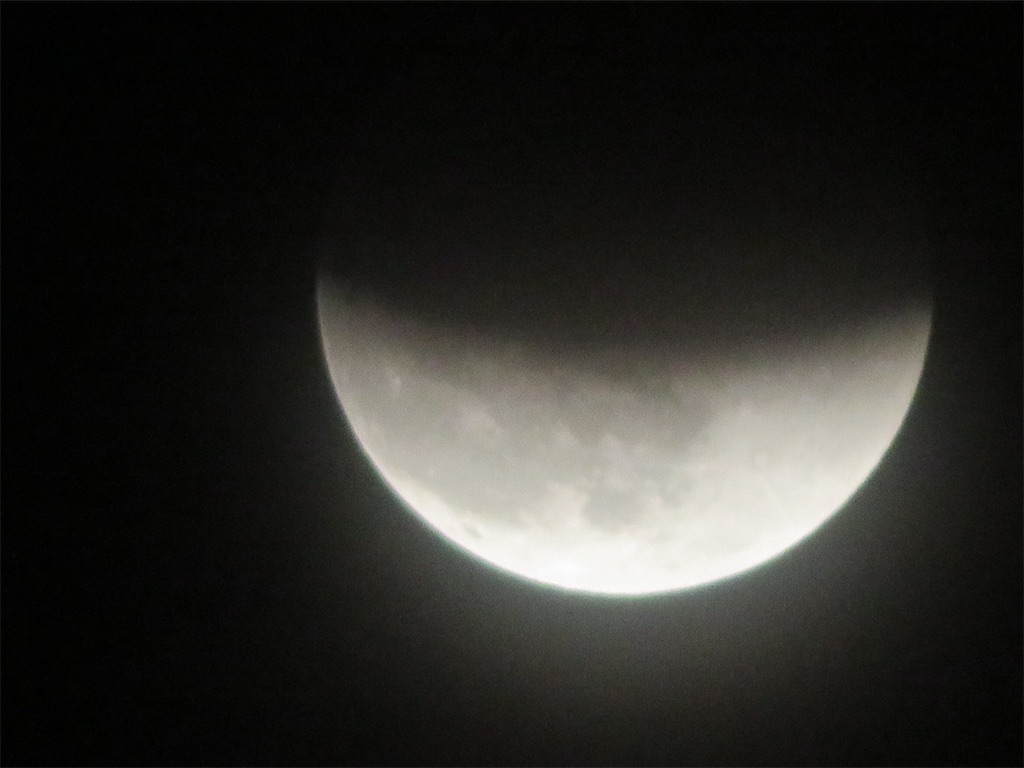 f:id:AdonaiQuoVadis:20211119195748j:image