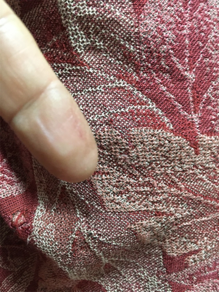 f:id:AdonaiQuoVadis:20211229220640j:image f:id:AdonaiQuoVadis:20211229220640j:image