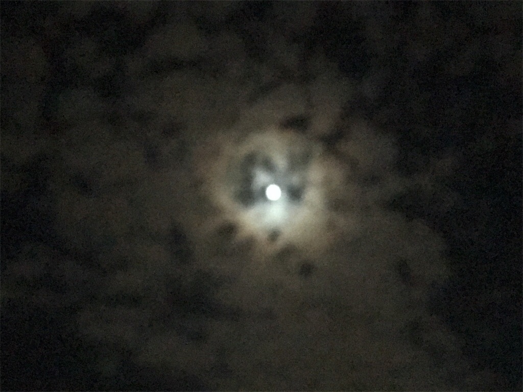 f:id:AdonaiQuoVadis:20220205043334j:image