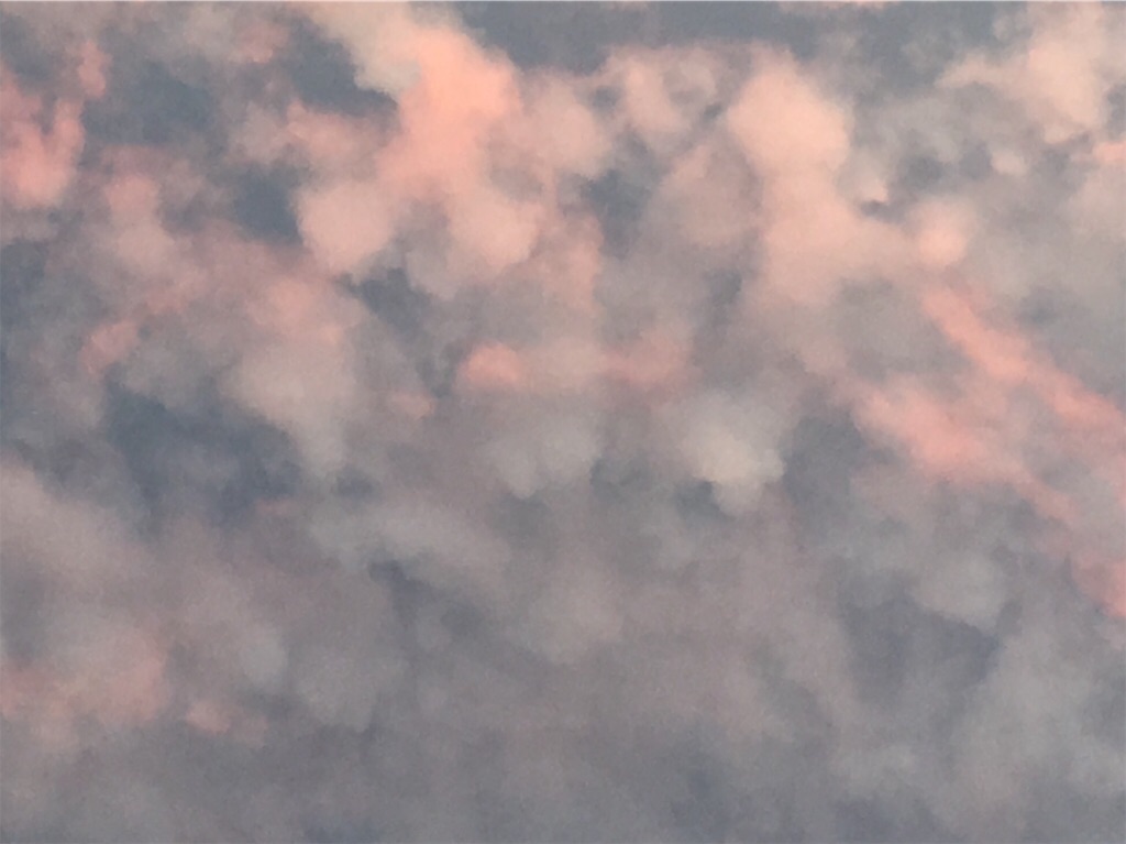 f:id:AdonaiQuoVadis:20220205043337j:image