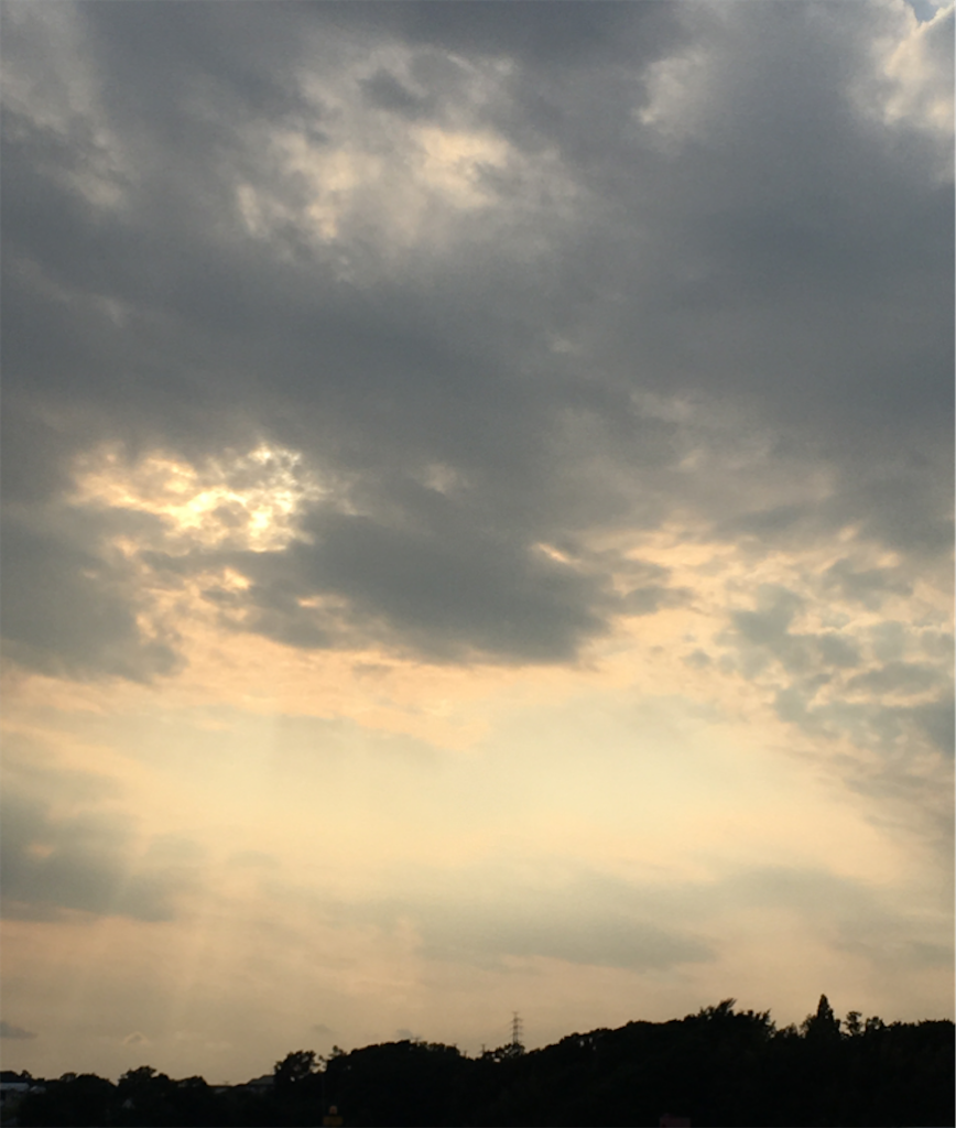 f:id:AdonaiQuoVadis:20220604184946p:image