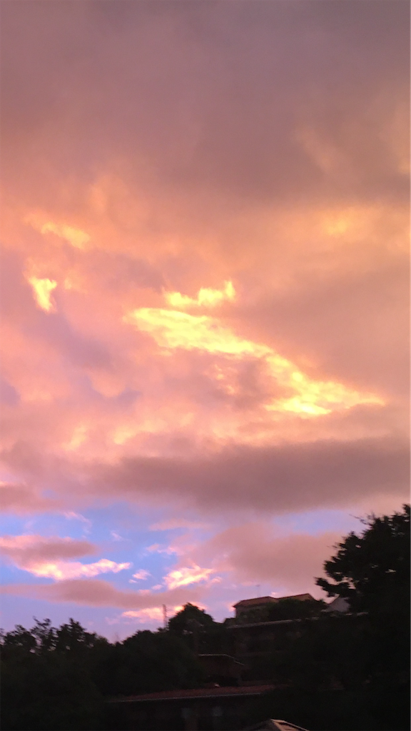 f:id:AdonaiQuoVadis:20220813050742p:image f:id:AdonaiQuoVadis:20220813050742p:image