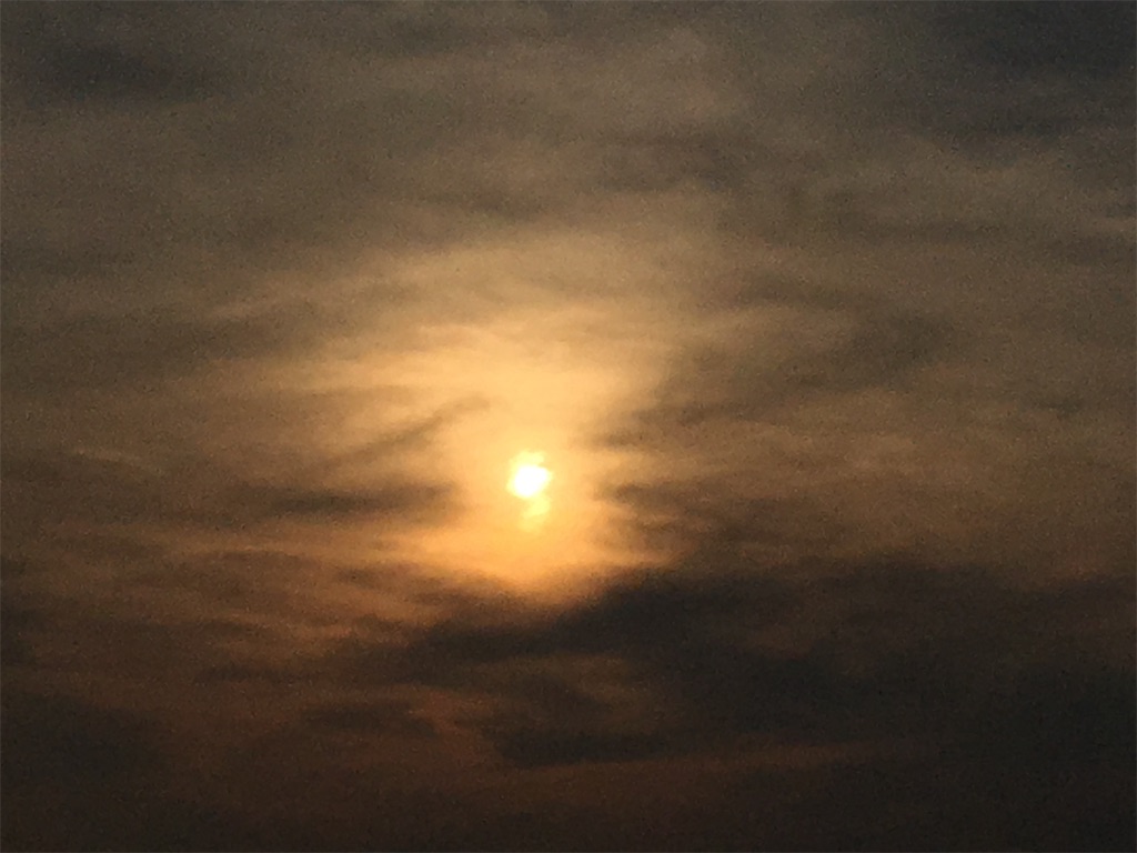 f:id:AdonaiQuoVadis:20220819022528j:image f:id:AdonaiQuoVadis:20220819022528j:image