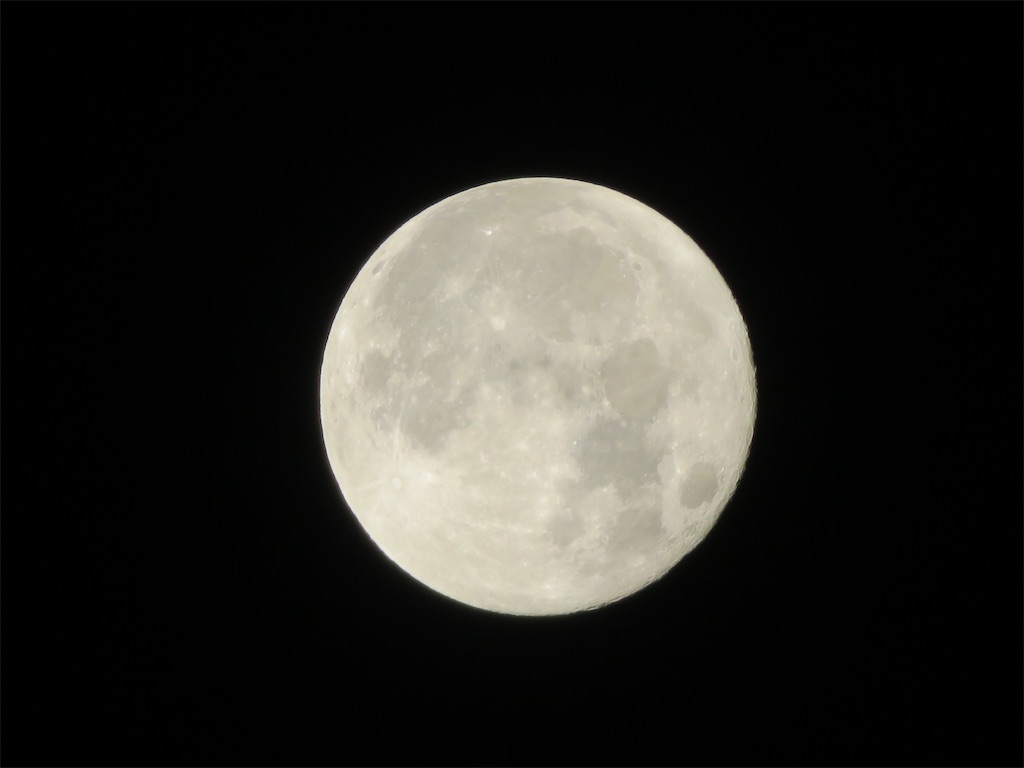 f:id:AdonaiQuoVadis:20230901022438j:image