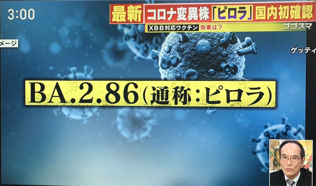 f:id:AdonaiQuoVadis:20230911150430j:image