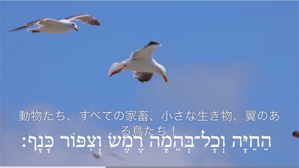 f:id:AdonaiQuoVadis:20231006022324j:image