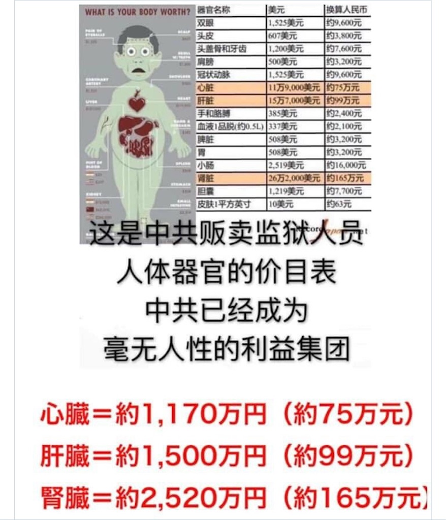 f:id:AdonaiQuoVadis:20240717100650j:image f:id:AdonaiQuoVadis:20240717100650j:image