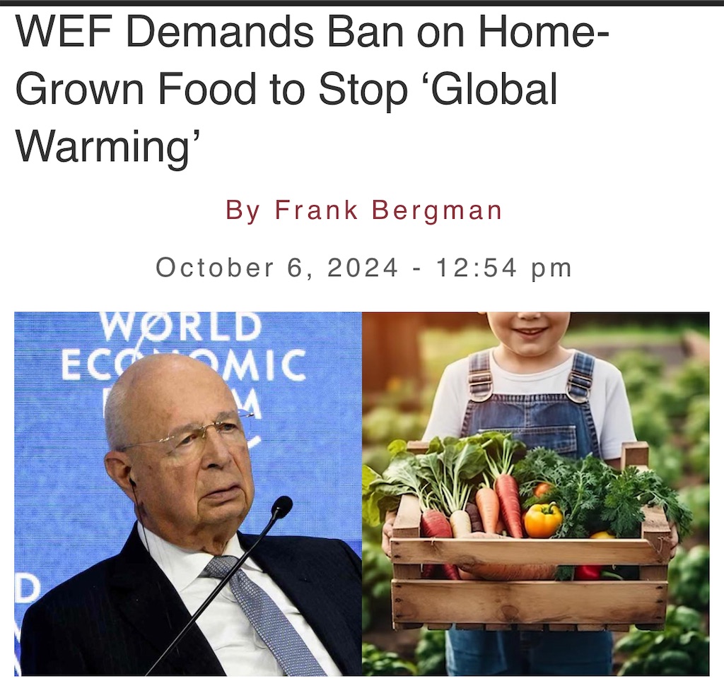 f:id:AdonaiQuoVadis:20241008024034j:image f:id:AdonaiQuoVadis:20241008024034j:image