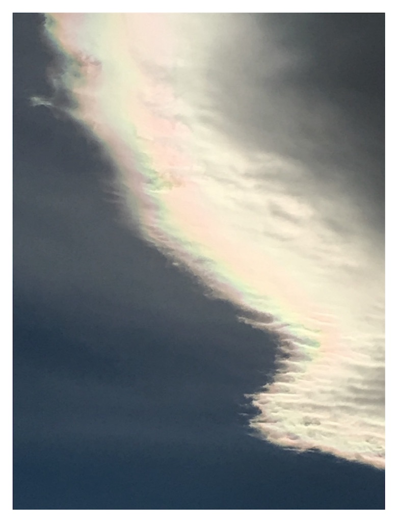 f:id:AdonaiQuoVadis:20241019112203j:image f:id:AdonaiQuoVadis:20241019112203j:image