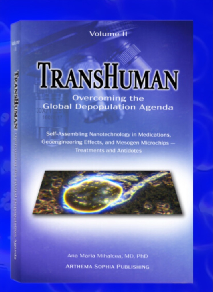 f:id:AdonaiQuoVadis:20250731005232j:image