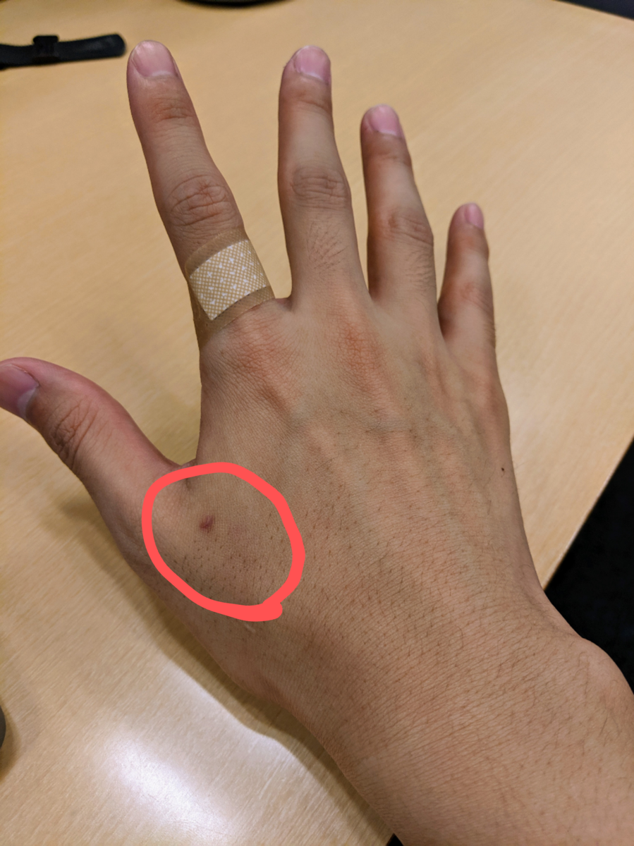 f:id:AdwaysEngineerBlog:20190927170947p:plain:w400