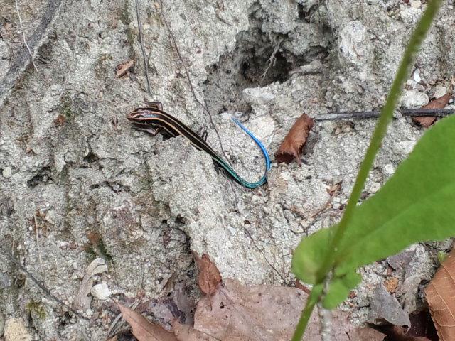 f:id:Agent89:20120813125056j:image:w360