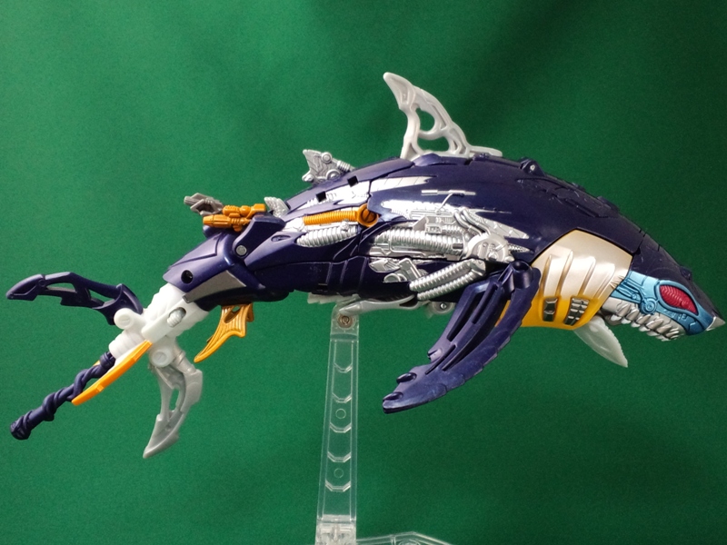 LG06_GELSHARK_00-1.jpg