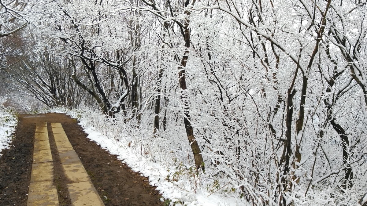 f:id:Agent89:20200314115605j:plain