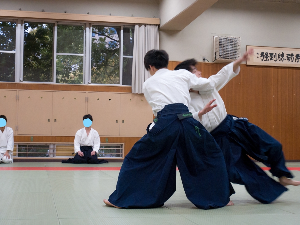 f:id:Aikido:20200413180341j:plain