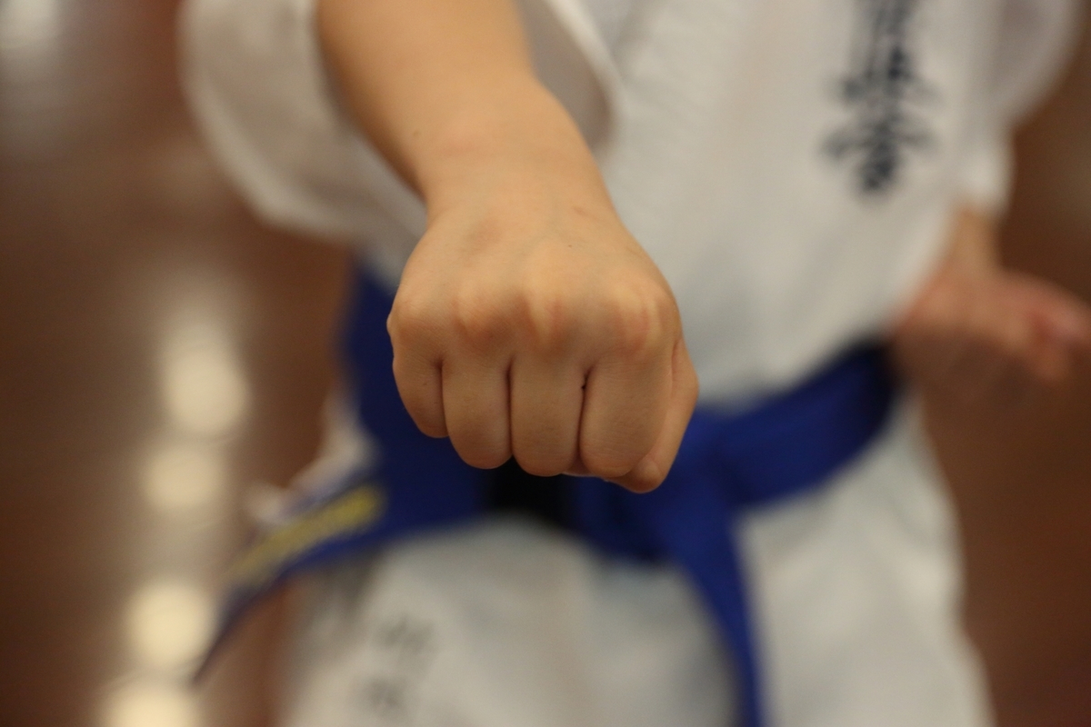 f:id:Aikido:20200417115228j:plain