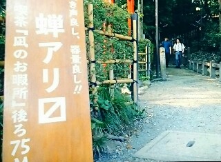 f:id:AinooAoika:20190811175303j:image