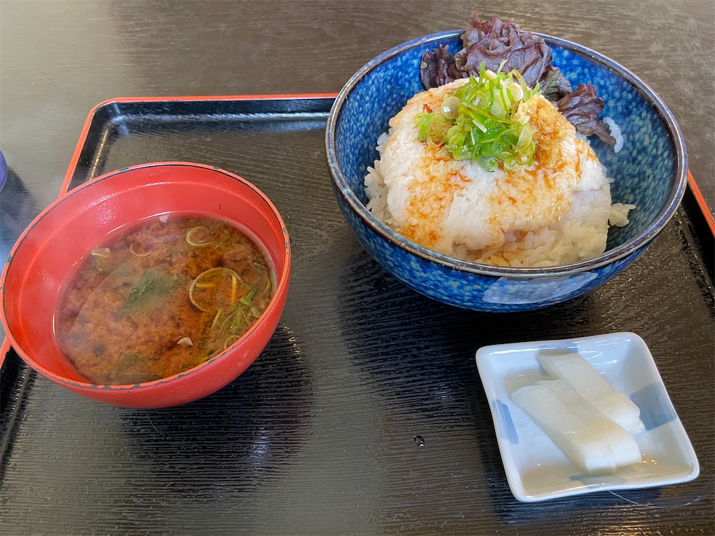 f:id:Aishirou:20230328093235j:image