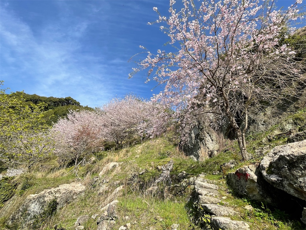 f:id:Aishirou:20230330073234j:image f:id:Aishirou:20230330073234j:image