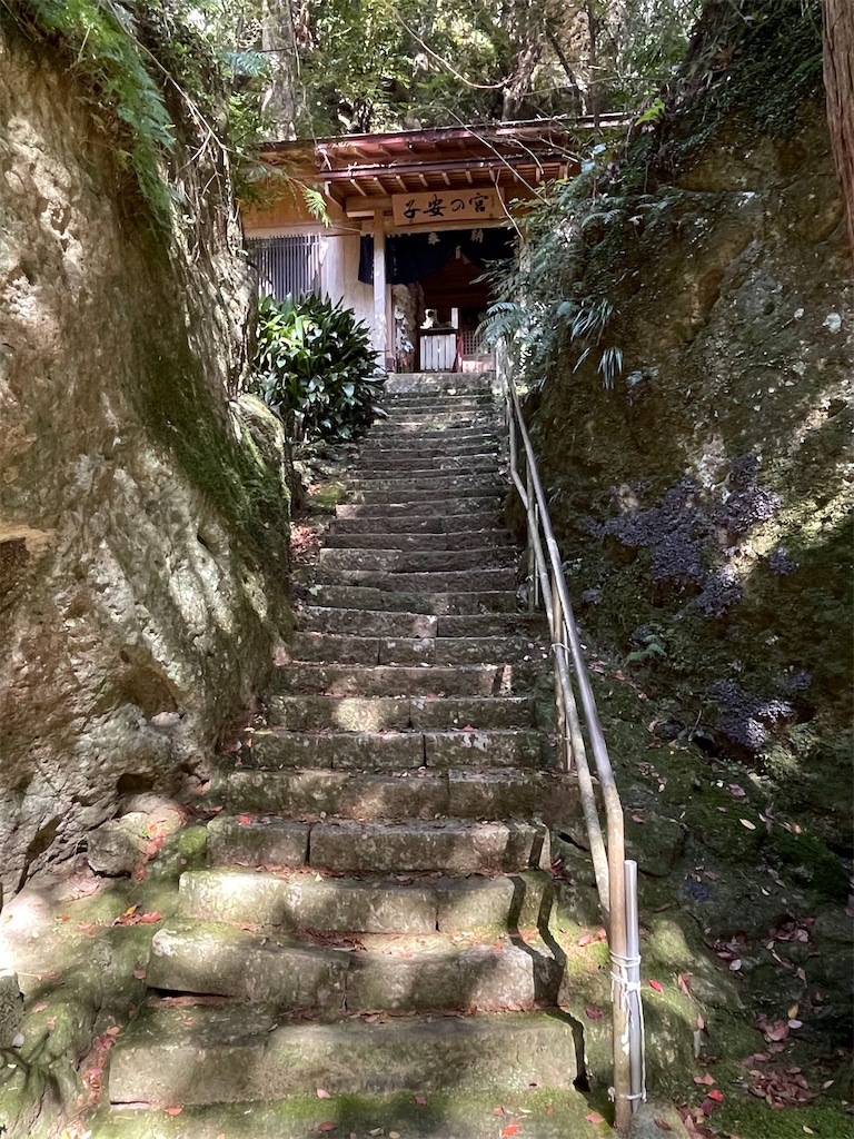 f:id:Aishirou:20230330073244j:image f:id:Aishirou:20230330073244j:image
