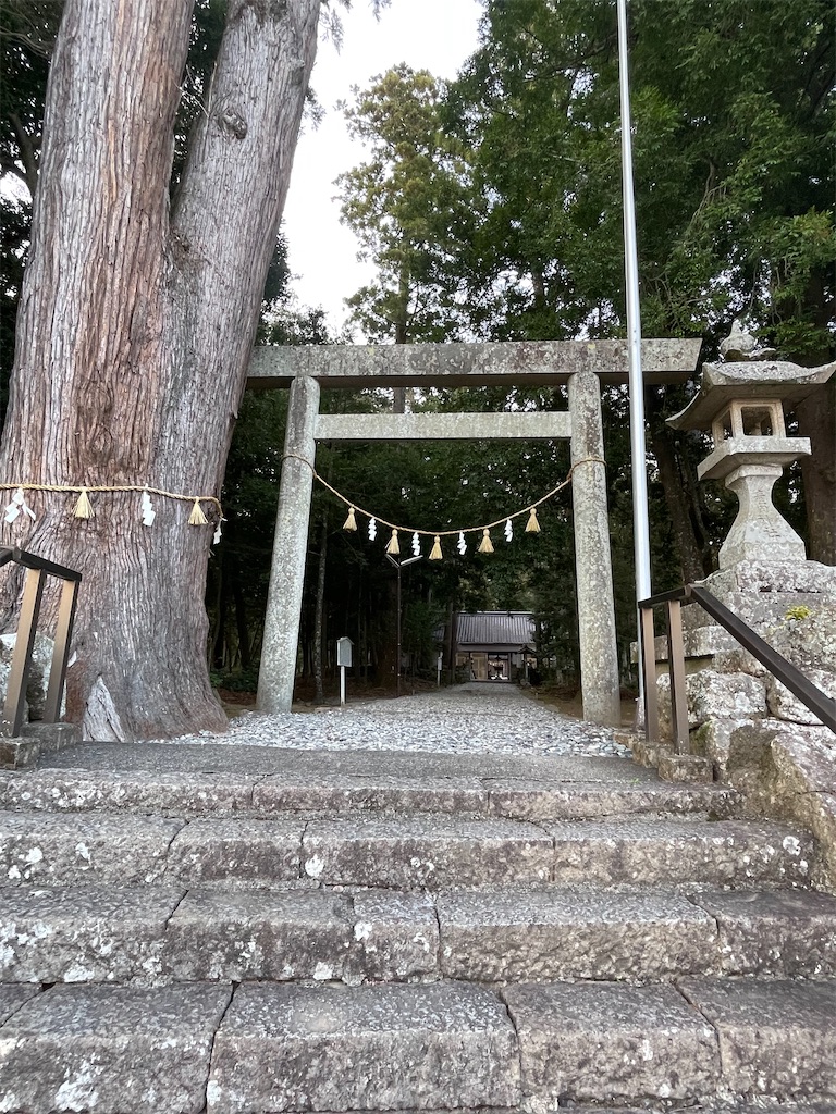 f:id:Aishirou:20230330073251j:image f:id:Aishirou:20230330073251j:image