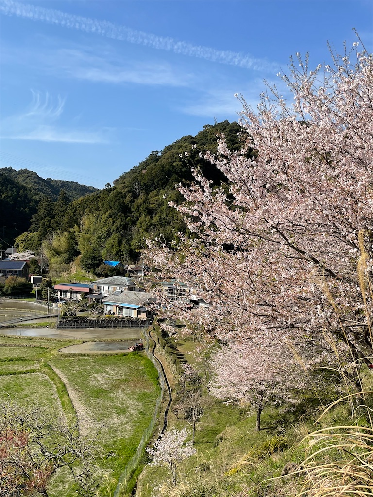 f:id:Aishirou:20230330073324j:image f:id:Aishirou:20230330073324j:image