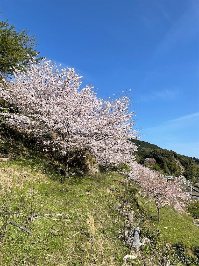 f:id:Aishirou:20230330073344j:image f:id:Aishirou:20230330073344j:image