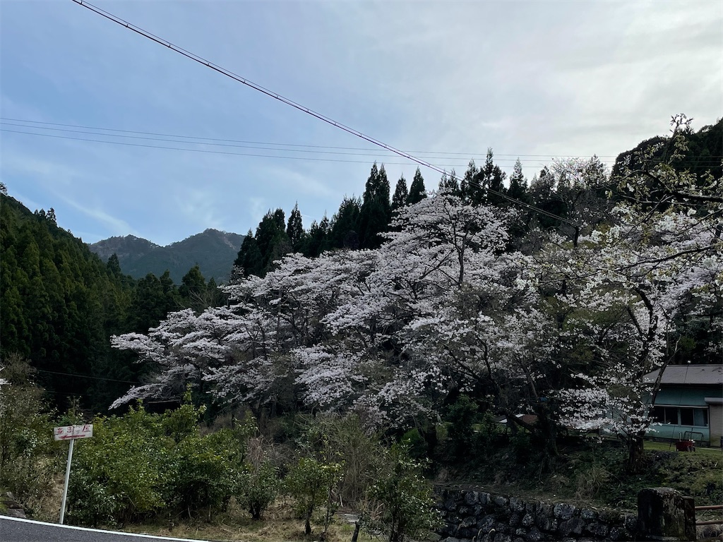 f:id:Aishirou:20230330073357j:image f:id:Aishirou:20230330073357j:image
