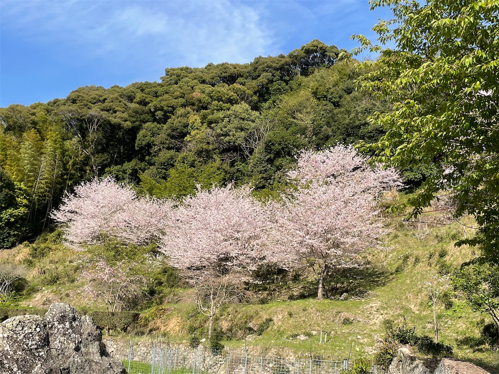 f:id:Aishirou:20230330073400j:image f:id:Aishirou:20230330073400j:image