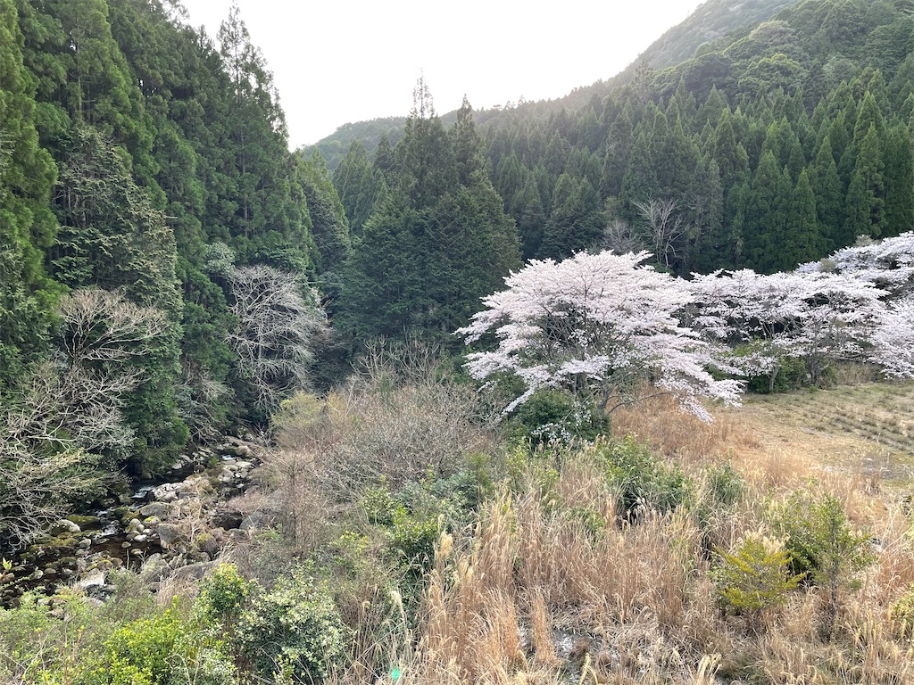 f:id:Aishirou:20230330073413j:image f:id:Aishirou:20230330073413j:image