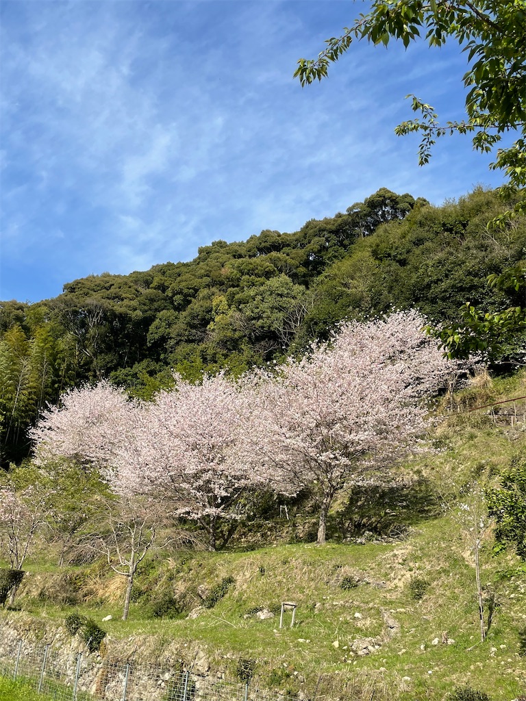f:id:Aishirou:20230330073416j:image f:id:Aishirou:20230330073416j:image