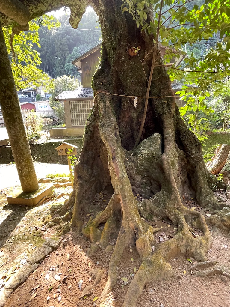 f:id:Aishirou:20230330073423j:image f:id:Aishirou:20230330073423j:image