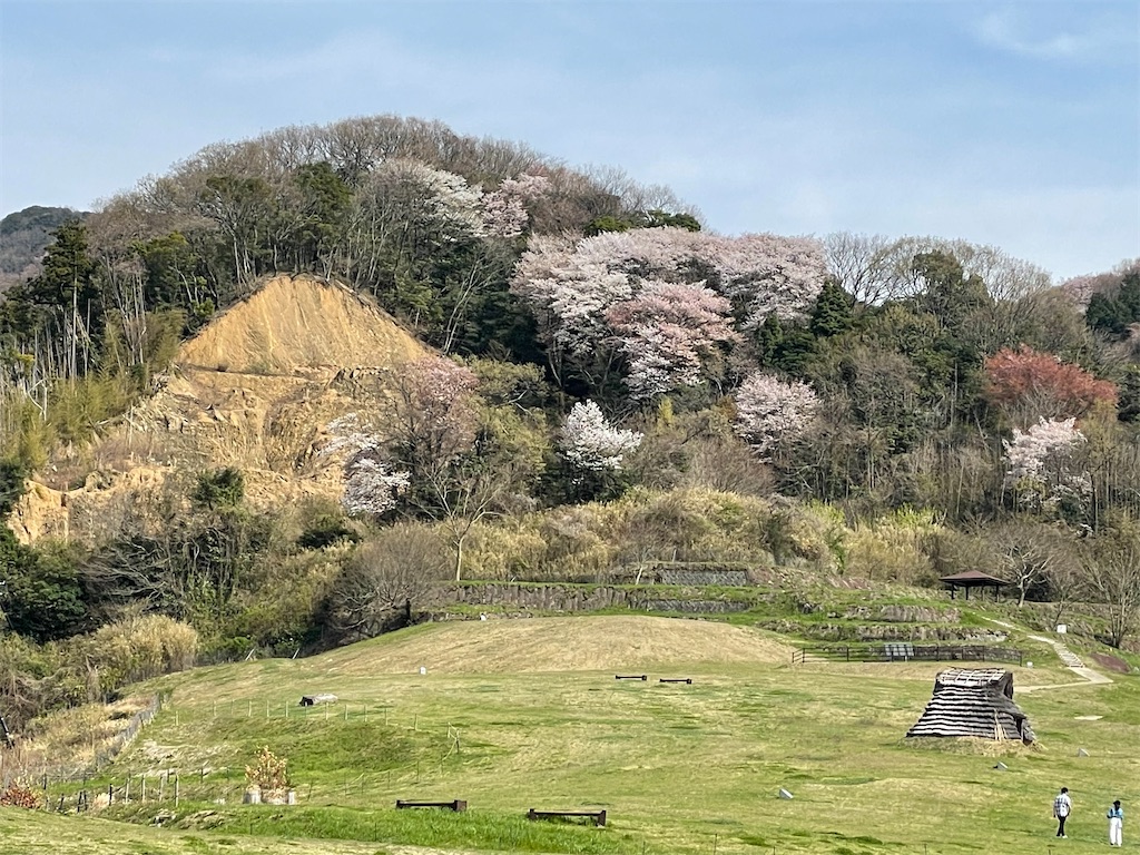 f:id:Aishirou:20230403071319j:image f:id:Aishirou:20230403071319j:image