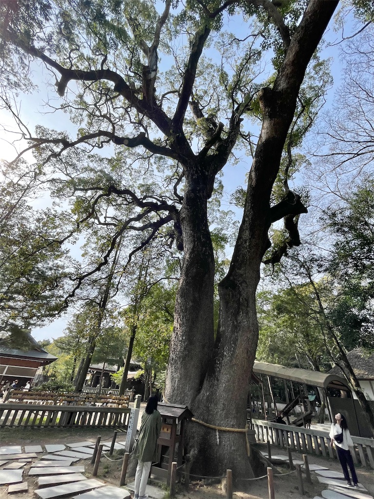 f:id:Aishirou:20230403085225j:image f:id:Aishirou:20230403085225j:image
