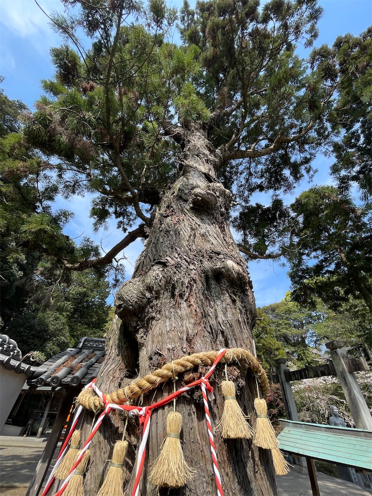 f:id:Aishirou:20230405082527j:image f:id:Aishirou:20230405082527j:image