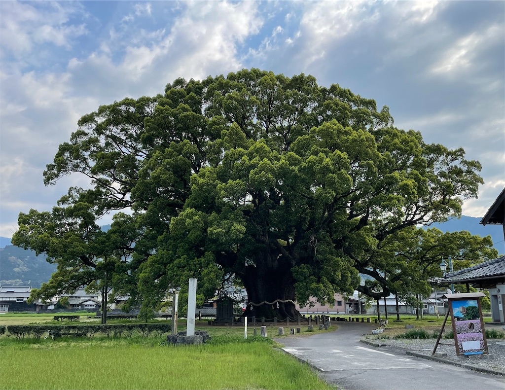 f:id:Aishirou:20230405082646j:image f:id:Aishirou:20230405082646j:image