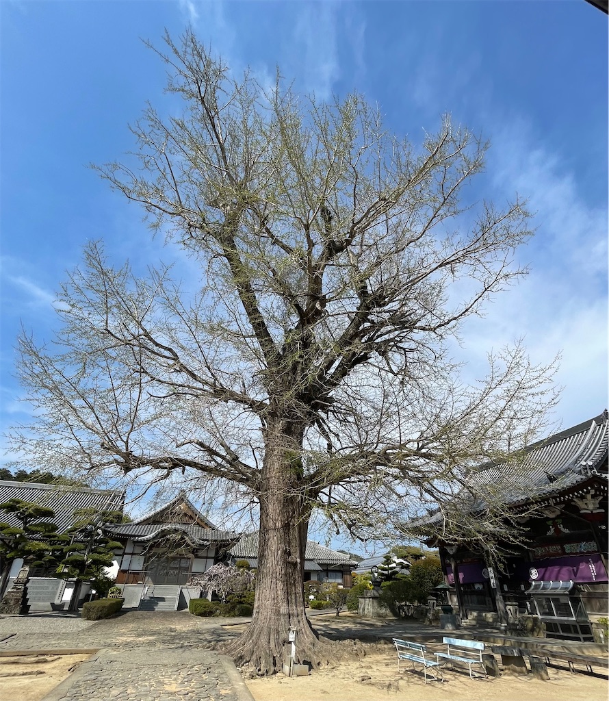 f:id:Aishirou:20230405082659j:image f:id:Aishirou:20230405082659j:image