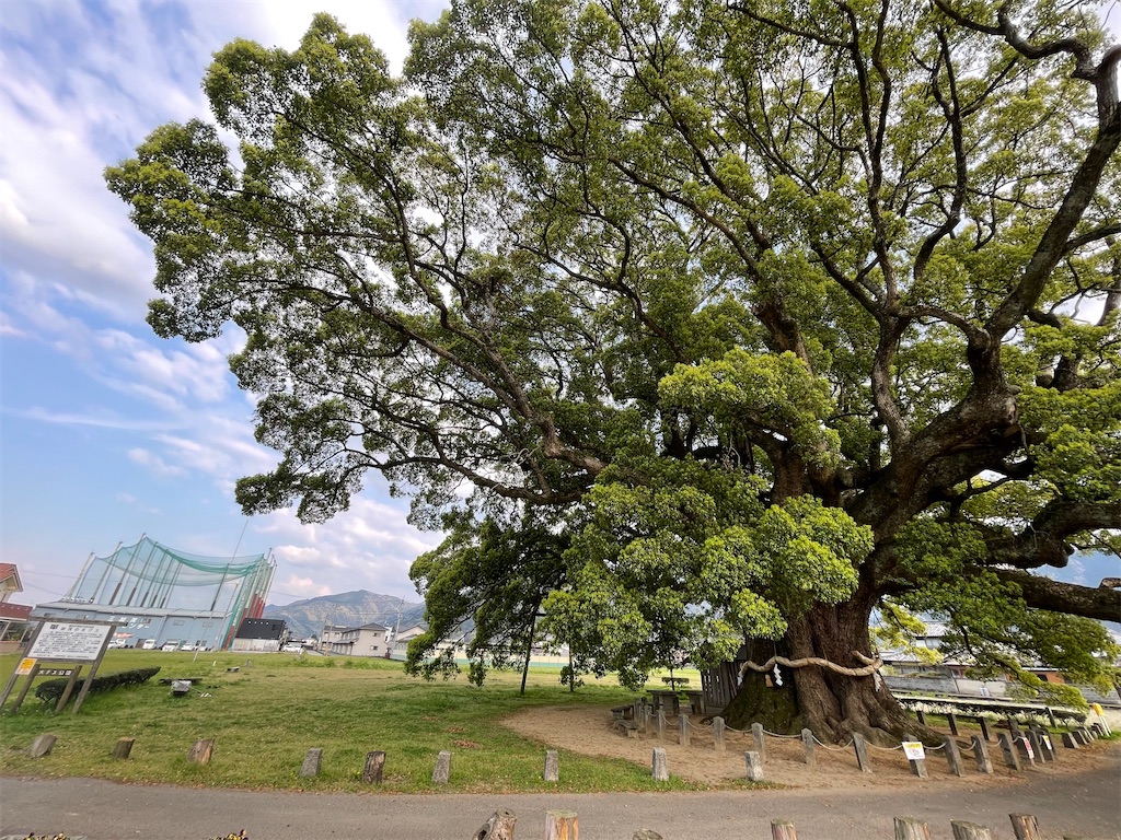 f:id:Aishirou:20230405082705j:image f:id:Aishirou:20230405082705j:image
