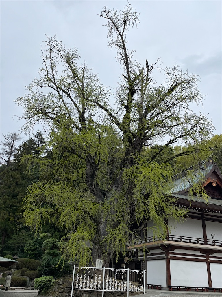 f:id:Aishirou:20230406082859j:image