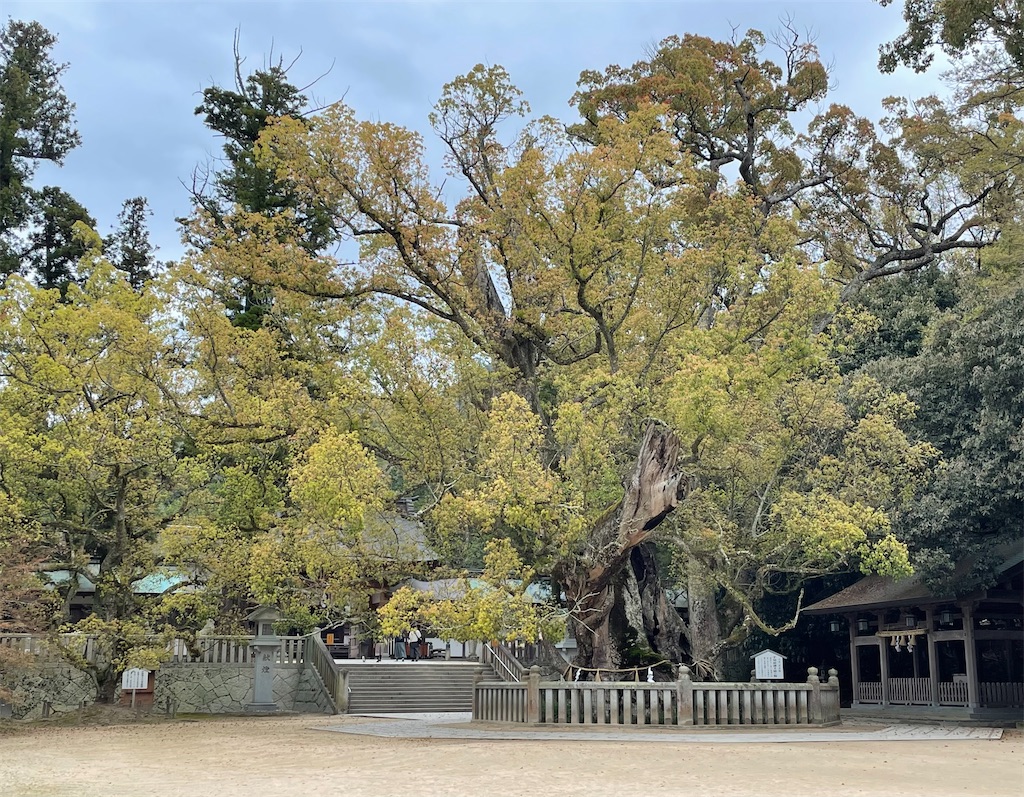 f:id:Aishirou:20230407074544j:image