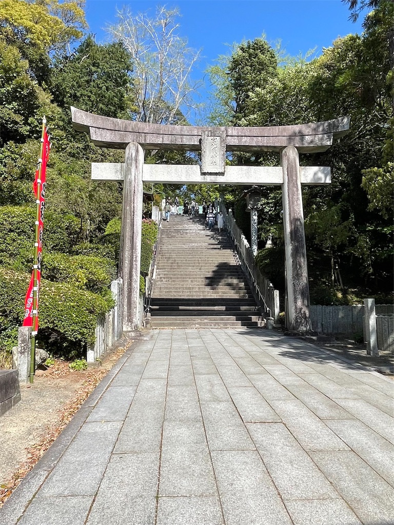 f:id:Aishirou:20230409094130j:image f:id:Aishirou:20230409094130j:image