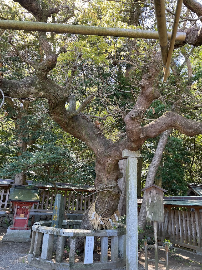 f:id:Aishirou:20230409094157j:image f:id:Aishirou:20230409094157j:image