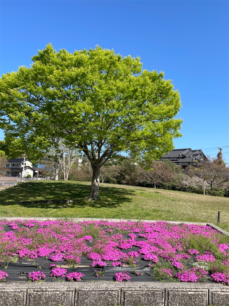 f:id:Aishirou:20230410093327j:image f:id:Aishirou:20230410093327j:image