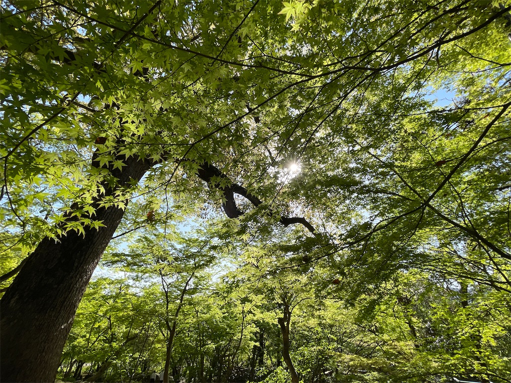 f:id:Aishirou:20230410093519j:image f:id:Aishirou:20230410093519j:image