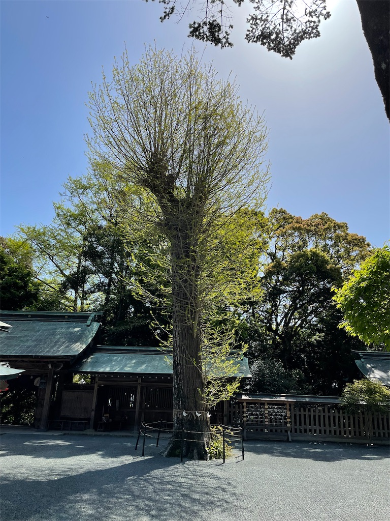 f:id:Aishirou:20230411080203j:image
