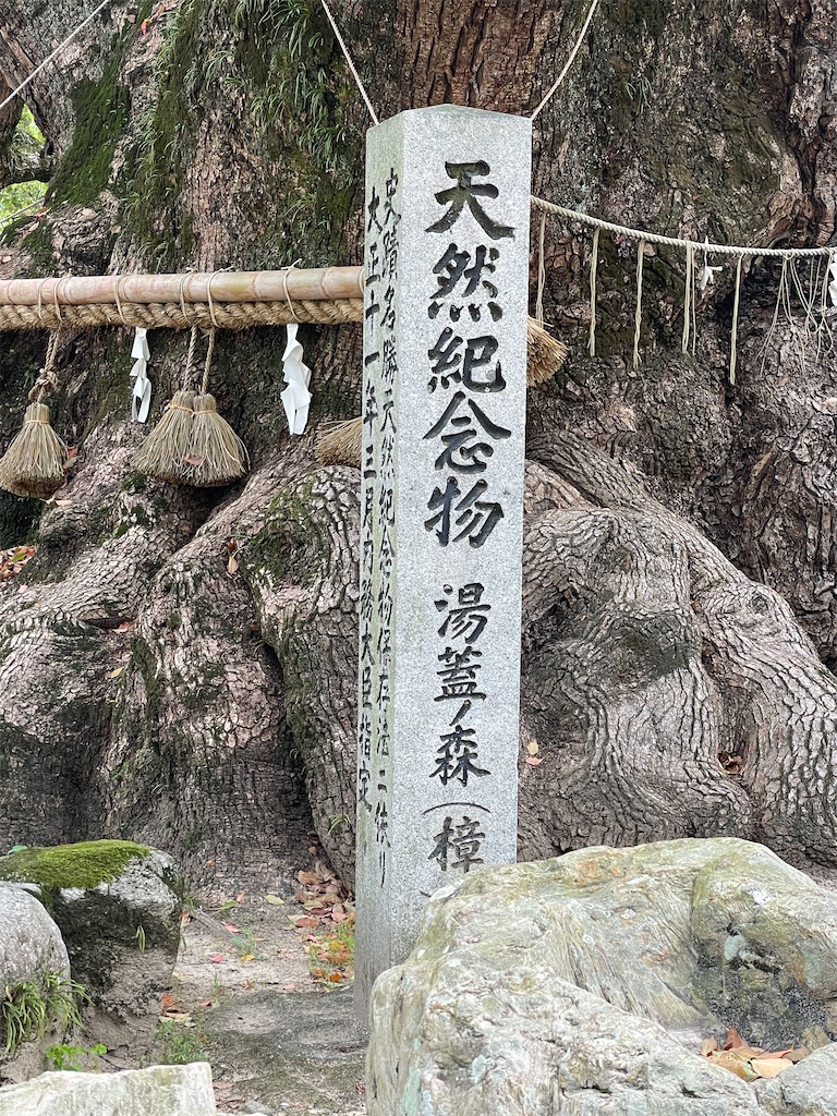 f:id:Aishirou:20230412064929j:image f:id:Aishirou:20230412064929j:image