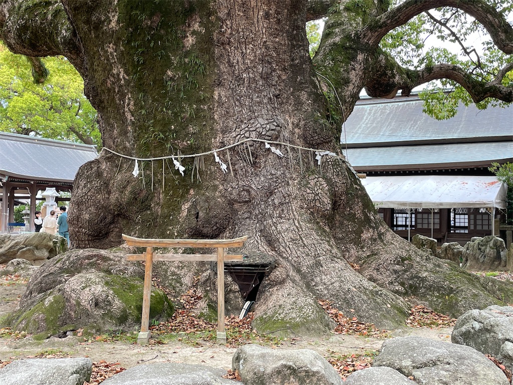 f:id:Aishirou:20230412064932j:image f:id:Aishirou:20230412064932j:image