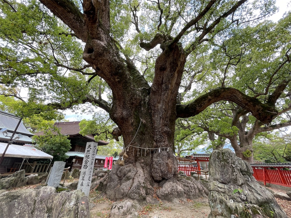 f:id:Aishirou:20230412064935j:image f:id:Aishirou:20230412064935j:image