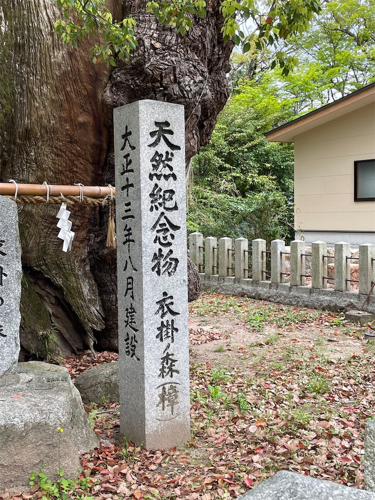 f:id:Aishirou:20230412064950j:image f:id:Aishirou:20230412064950j:image